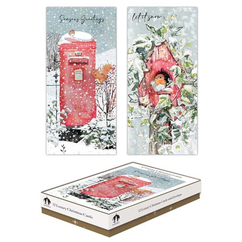 Tallon Festive Wonderland XCA0216 Luxury Slim Christmas Xmas Cards, Box of 12, Postbox & Robin