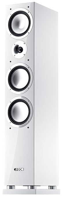 dynaudio focus 160 amazon