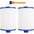 Ying-ti Spa Filter Replacement 6CH-940, PWW50P3, Filbur FC-0359, Waterway Vita Aber,Viking Spa Hot Tub Filter -2 Pack