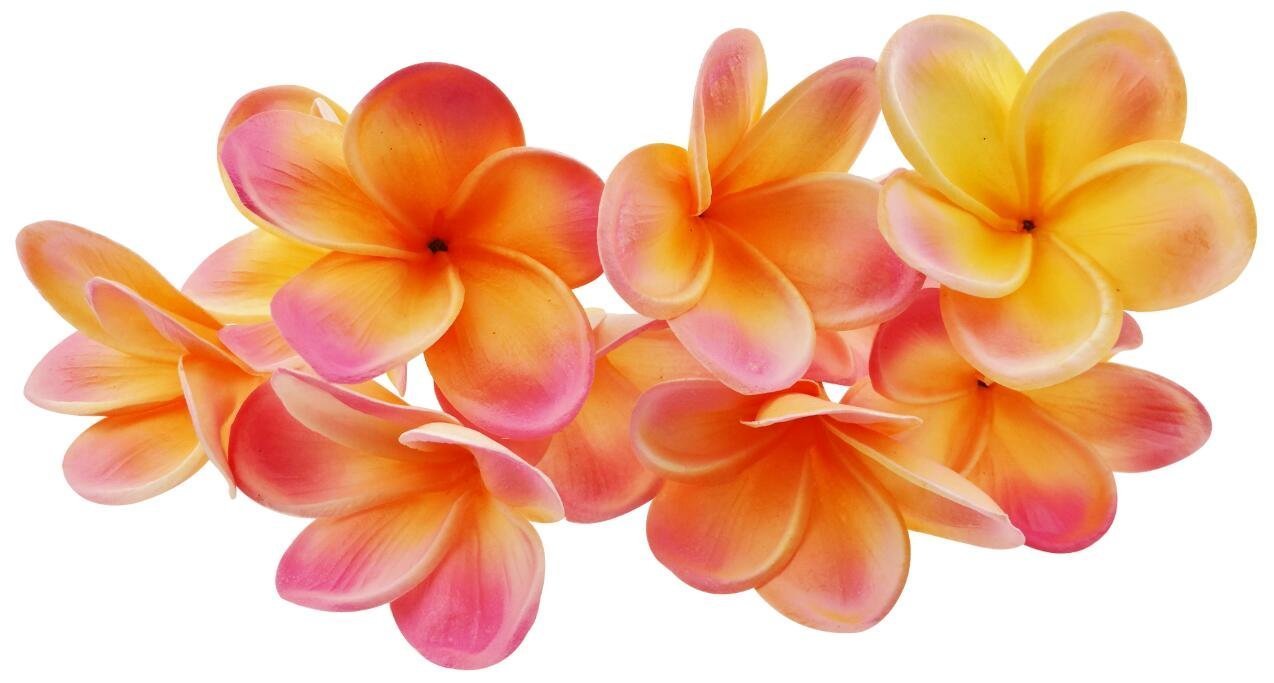 Winterworm 10 Stems Real Touch Artificial Hawaiian Lei Faux Ivory Plumeria Latex Flower Bouquet for Bride Wedding Party Festival Decoration Bouquet (Orange+Pink)