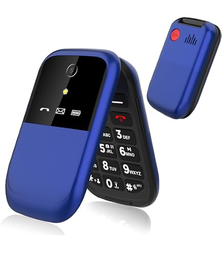 Palm Phone PVG100 (el pequeño teléfono desbloqueado Premium) con