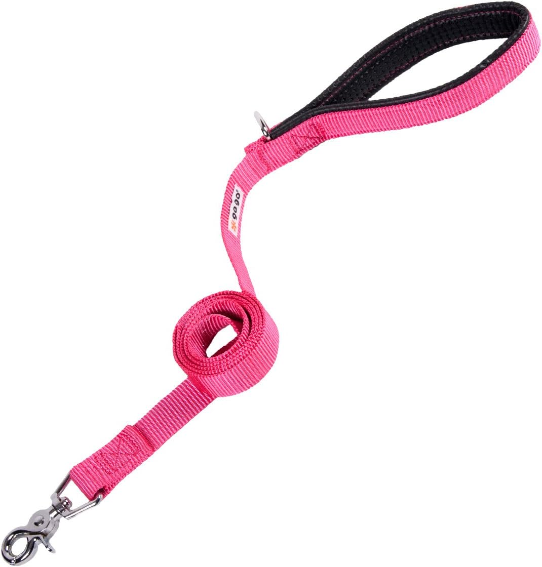 Gogo dog leash Clearance