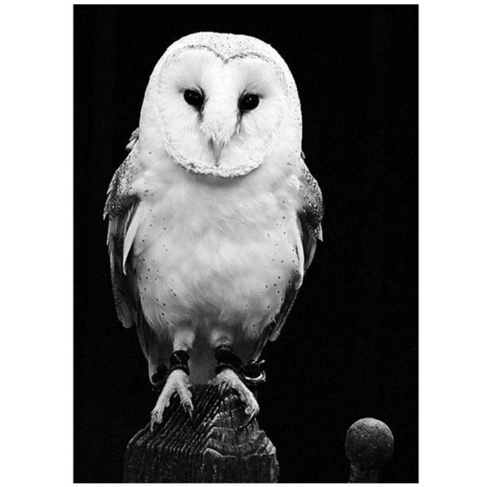 Best Bed Frame Woodland Birds