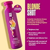 Give Me Cosmetics Purple Shampoo Toning No Yellow Blonde Hair Coconut Argan Oil view 2