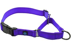 Max and Neo Nylon Martingale Collar - We Donate to a Dog Rescue for Every Collar Sold (Medium, Purple)