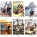 Tophie Insulated Cooler Backpack, 30L Leakproof Lightweight Lunch Backpack and Bag, 30 Cans PU Leather Waterproof Hiking Backpack for Hiking Beach Park Picnic (Checked Pattern)