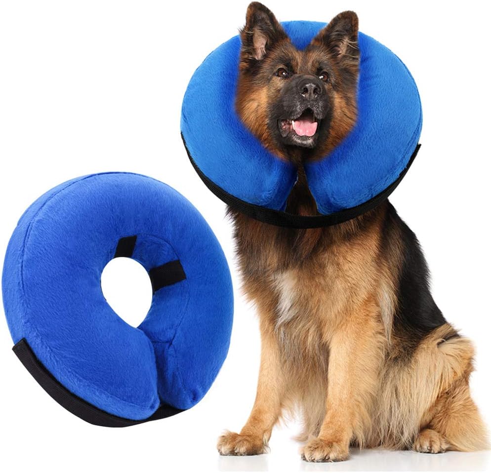 air cone for dogs
