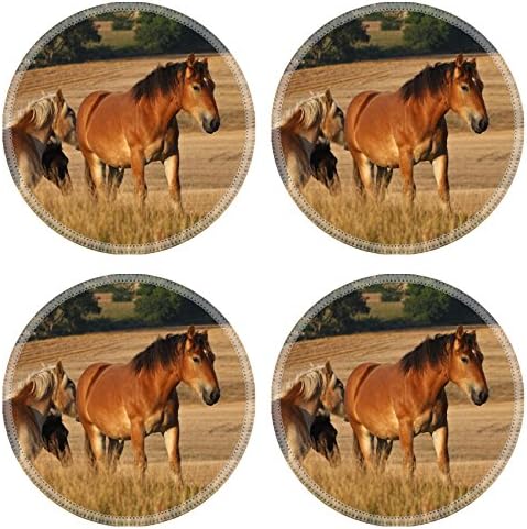 MSD Round Coasters Non-Slip Natural Rubber Desk Coasters design: 11376494 Nature in south Sweden in the province of Sk ne horses on a field