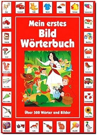 Mein Erstes Bild Worterbuch Paletti Bilderbuch Worter Amazon De Spielzeug
