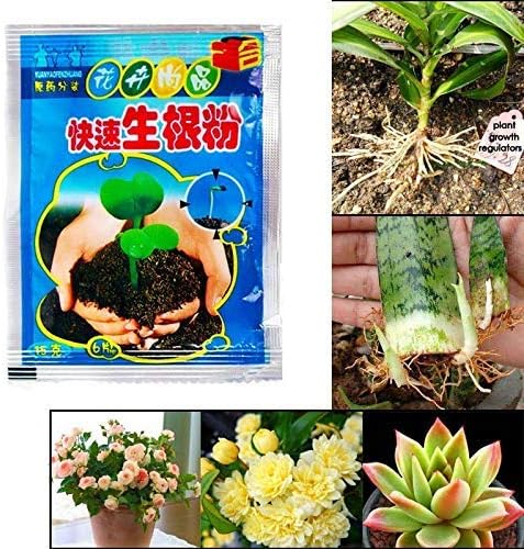 COPYLOVE Rooting Powder Agent, Rapid Rooting Powder Agent for Fruit Tree Cutting Flower transplanting (30PCS)