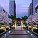 LDSS Outdoor Garden Pathway Landscape Driveway Lawn Walkway Disk Lights Underground Lighting Bright Waterproof Flood Light Solar Powered in-Ground 8 LED Lights (White), 4 Pack