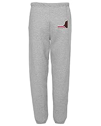 LOGOVISION Brown University Bears Primary Logo Mens