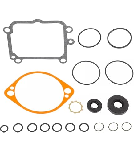 Pumpendichtungssatz 2513018 Für Hydro Gear BDP-10L – Auch Für Toro, Exmark & Ariens Rasenmäher