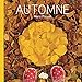 P'Tit Land Art - Automne (French Edition) by