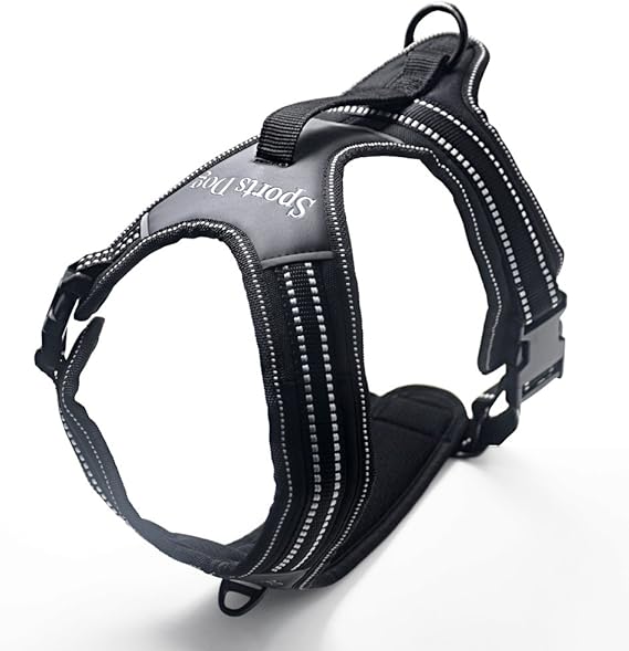 rabbitgoo Hundegeschirr kleine Hunde Amazon.de Haustier