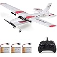 GoolRC RC Plane, 2.4GHz 2 Channel Remote Control Airplane, EPP Foam RC Airplane, Fixed Wing RC Aircraft, Easy to Fly RC Glider with 3 Batteries for Adults and Beginners