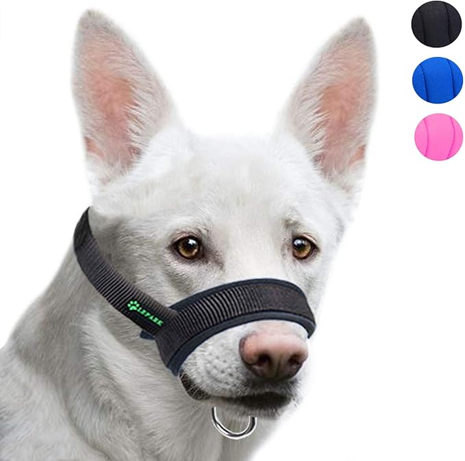 chewy basket muzzle