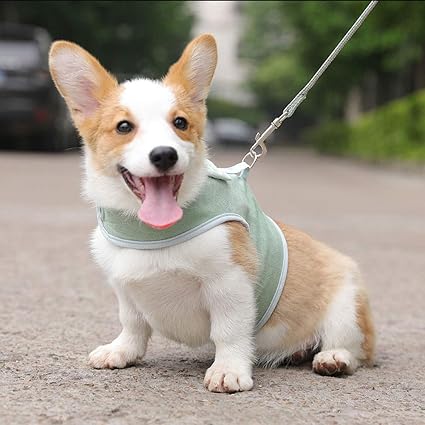 Fuudear Dessin Animé Mignon Chat Et Chien Laisse Ange