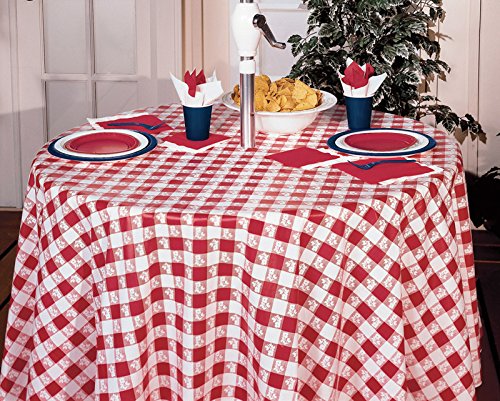 Gingham Dinner Plates – Red Checkered Disposable Plates, 8-7/8 Inch, Pack Of 25 (Creative Converting)