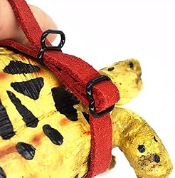 Turtle Harness and Leash with Wings Tortoise Leash