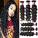 Beauty Forever Hair Brazilian Natural Water Wave Virgin Hair Wet and vavy Hair Weave 3 Bundles 100% Unprocessed Human Hair Extensions Natural Color 95-100g/pc (10 12 14)