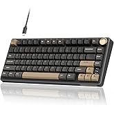 RK ROYAL KLUDGE R75 Wired Gaming Keyboard with Volume Knob, 75% Mechanical Gaming Keyboard Custom Gasket Mount with MDA Profile PBT Keycaps, QMK/VIA, Hot Swappable Silver Switch, Black