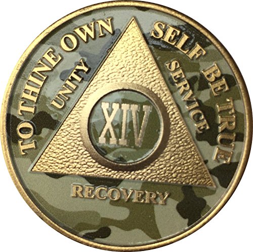 14 Year AA Medallion Camo Gold Plated Anniversary Chip Camouflage Color
