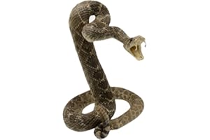 TG,LLC Treasure Gurus 100% Genuine Taxidermy Coiled Striking Eastern Diamondback Rattlesnake Mount