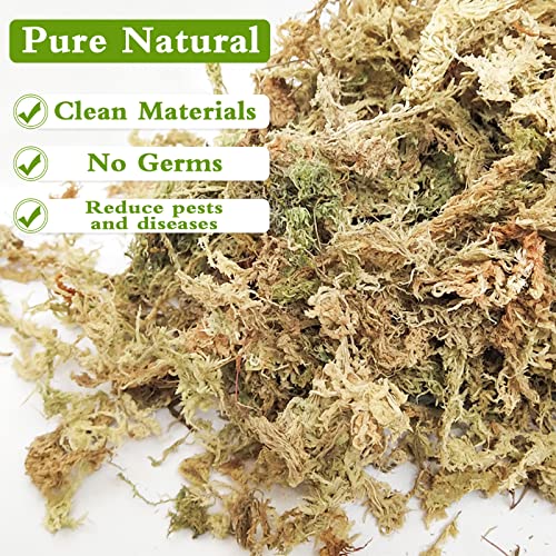 Legigo 1.2lb Premium Sphagnum Moss Potting Mix Natural Succulent