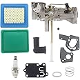 Cnfaner 5HP Carburetor for 498298 692784 495951 495426 135202 135212 112202 112252 112292 134202 133212 130202 Engine with 692189 Grommet 5021K Diaphragm Kit