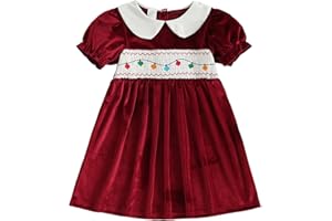Mieeyali Toddler Heart Valentines Dress for Girls Valentines Day Dress Collared Smocked Short Sleeve Outfit