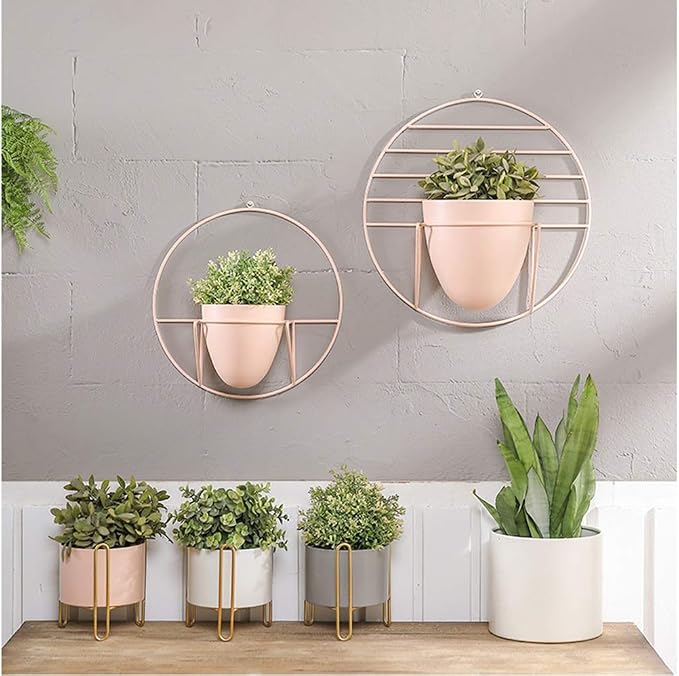 Soporte de la planta Colgando estante del pote, antecedentes ...
