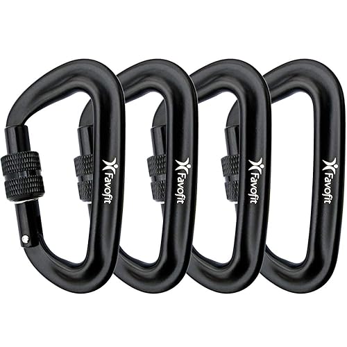 Top 10 Best Locking Carabiners in September 2021