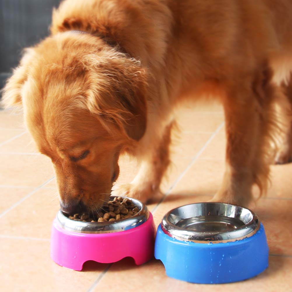 Ciotola per Cani Gatto Set Ciotole Acciaio Inox Antiscivolo Metallo Due Ciotole Cibo Acqua per Animali Domestici Cane, Set di 2 (Rosa e Blu)