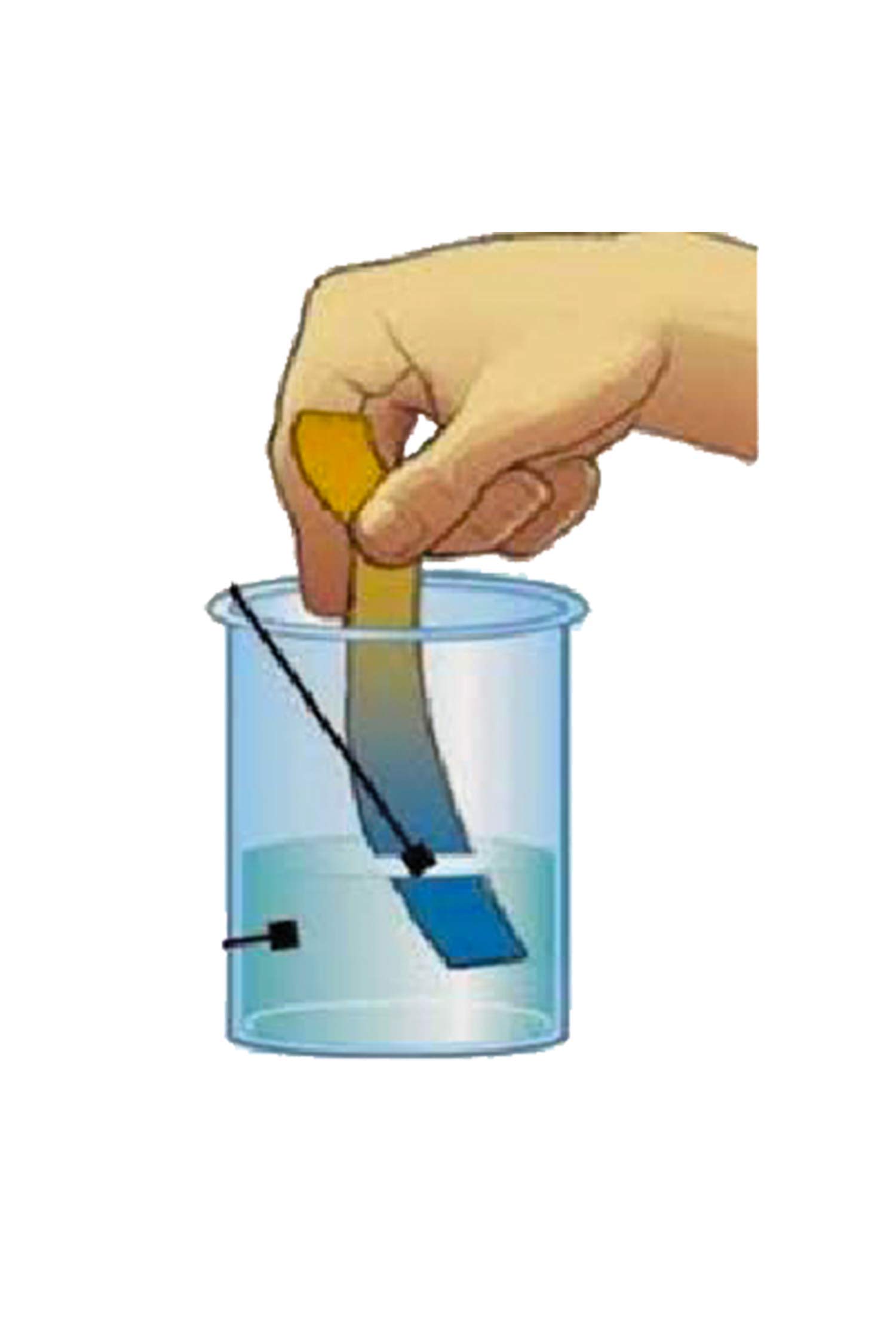 WK Test Kit Water Hardness Sticks, 5 Pieces Made in Italy