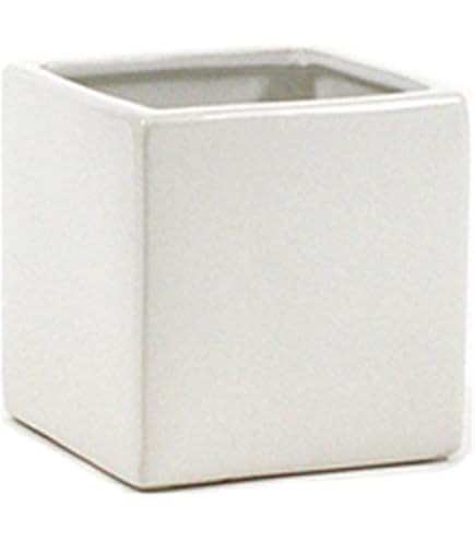Amazon.com : WGVI WGV Ceramic Cube Vase Width 3