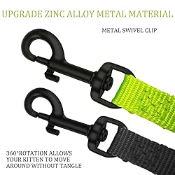 DOYOO 2 Pack Puppy Dog Leash Cat Leash, Strong and