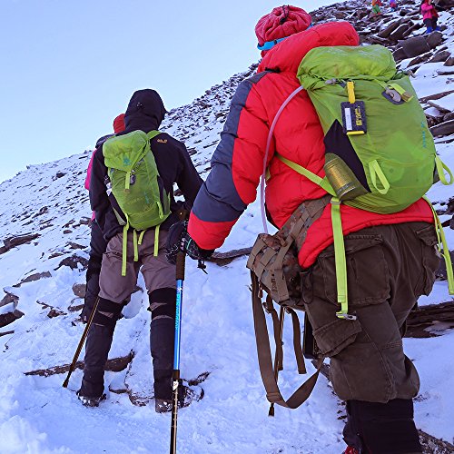 pys Trekking Telescopic Walking Poles - Adjustable Aluminium Lightweight Section Trekking Alpenstock, Ultralight & Comfortable with Shock-Absorbent, Quick Lock, 1 Pair (Blue, Royal Blue)
