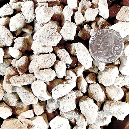 Pumice - Large Grain - for Bonsai Soil Mix - 5 quart