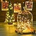 DecorNova 120 LEDs 40 Feet Flexible Copper Wire String Fairy Lights with 3V Adapter, 39.4, Warm White