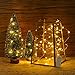 Battery Operated String Lights, DecorNova 5 Feet 30 LED Micro Fairy String Lights for Christmas Bedroom Mason Jar Wedding Party Decorations, Warm White (Set of 8)