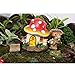 Tonsiki 33 Pieces Miniature Garden Accessories Fairy Garden Ornament Kit for DIY Dollhouse,Succulent,Plant Decoration