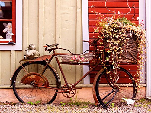12 X 16 INCH / 30 X 40 CMS VINTAGE BIKE BICYCLE FLOWER BASKET FRENCH FINE ART PRINT POSTER HOME DECOR PICTURE BMP150B