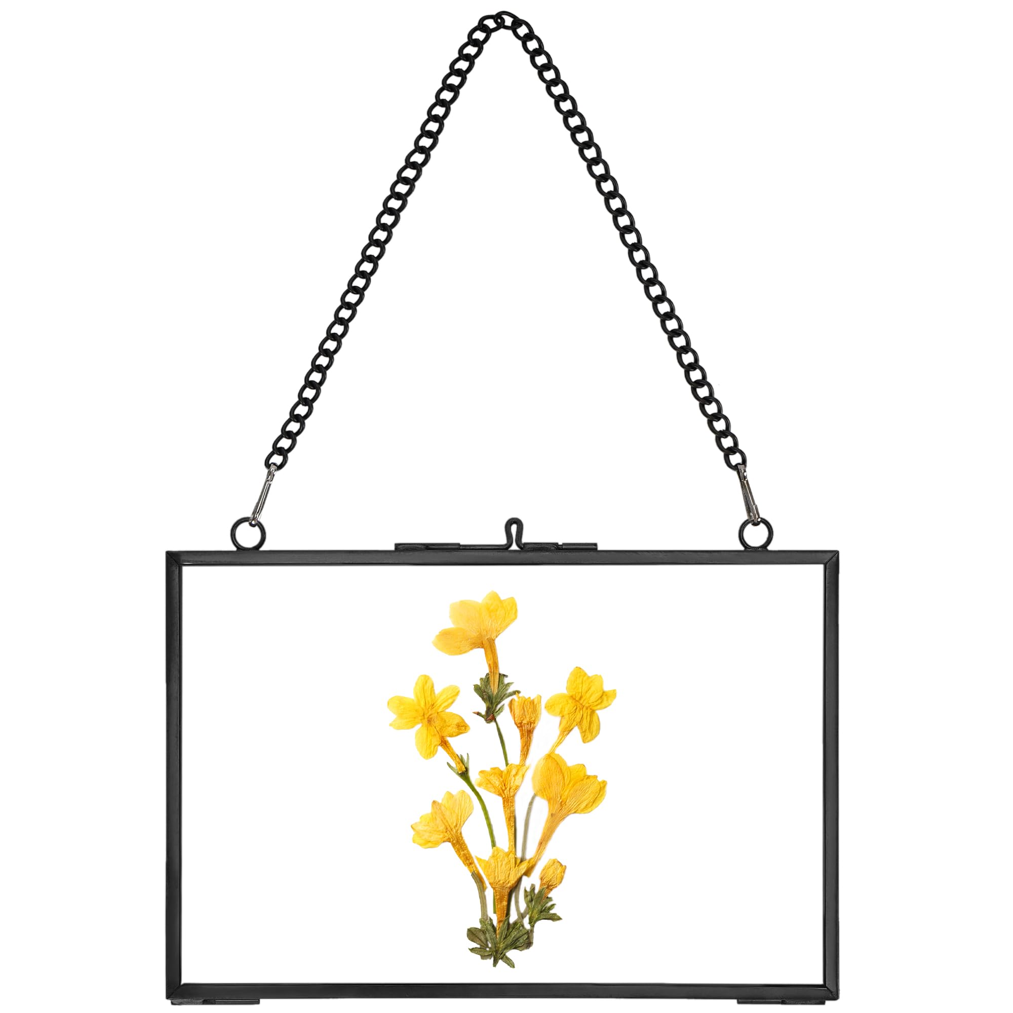 REDHUGO Hanging Pressed Flower Frame Handmade, Double Glass Picture Frame Floater frame Floating Frame for Pressed Flowers Home Wall Artwork, Rectangle Horizontal 4×6 inches, Black