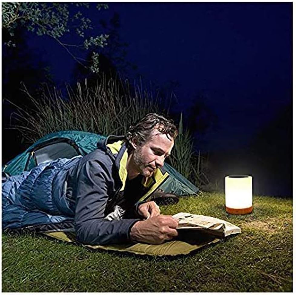 ROYFACC Night Light Touch Sensor Lamp Bedside Table Lamp for Kids Bedroom Rechargeable Dimmable Warm White Light + RGB Color Changing: Home Improvement