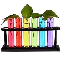 Juvale 4 Pack Plastic Test Tubes with Rack for