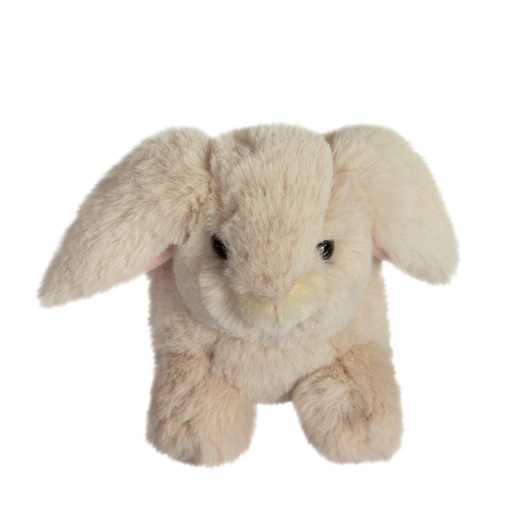 Unbekannt Histoire d'ours HO3000 Display Rabbits White 2 x Brown 3 x Beige Assorted Colours