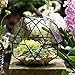 NCYP 8 inches Glass Geometric Dome Terrarium, Triangular Pentagon 32-Sides Indoor Succulent Air Plants Terrarium, Balcony Miniature Decor Centerpiece, No Plants Included