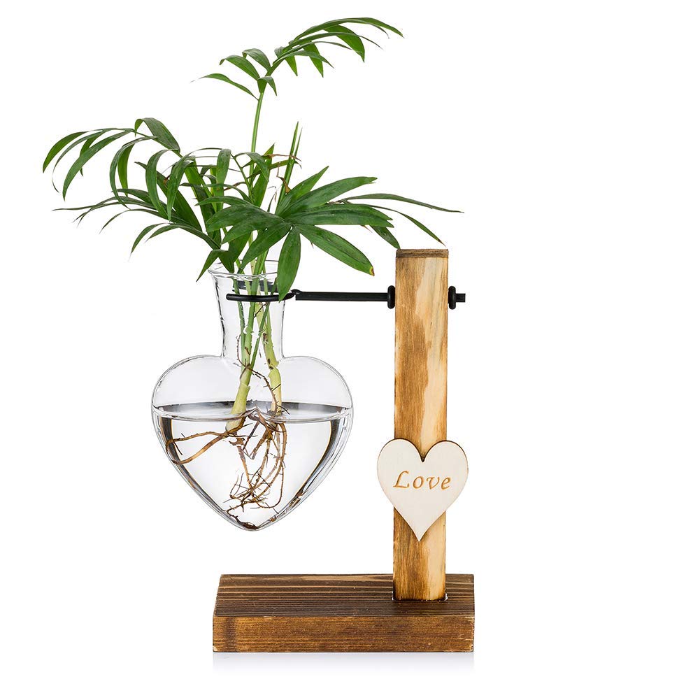 zalati Glass Vase Love Heart with Wooden Stand for Desktop Planter Bud Hydroponic Plant Home Garden Office Decoration