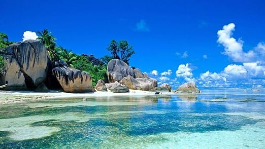 rompecabezas de 1000 piezas de paisajes